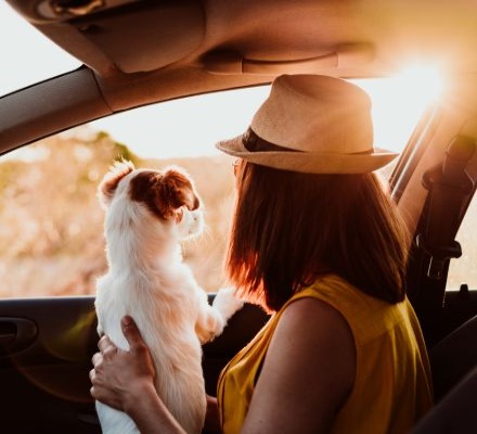 woman in car with small dog